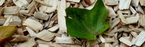 Wood Chips 1722422 1920 2